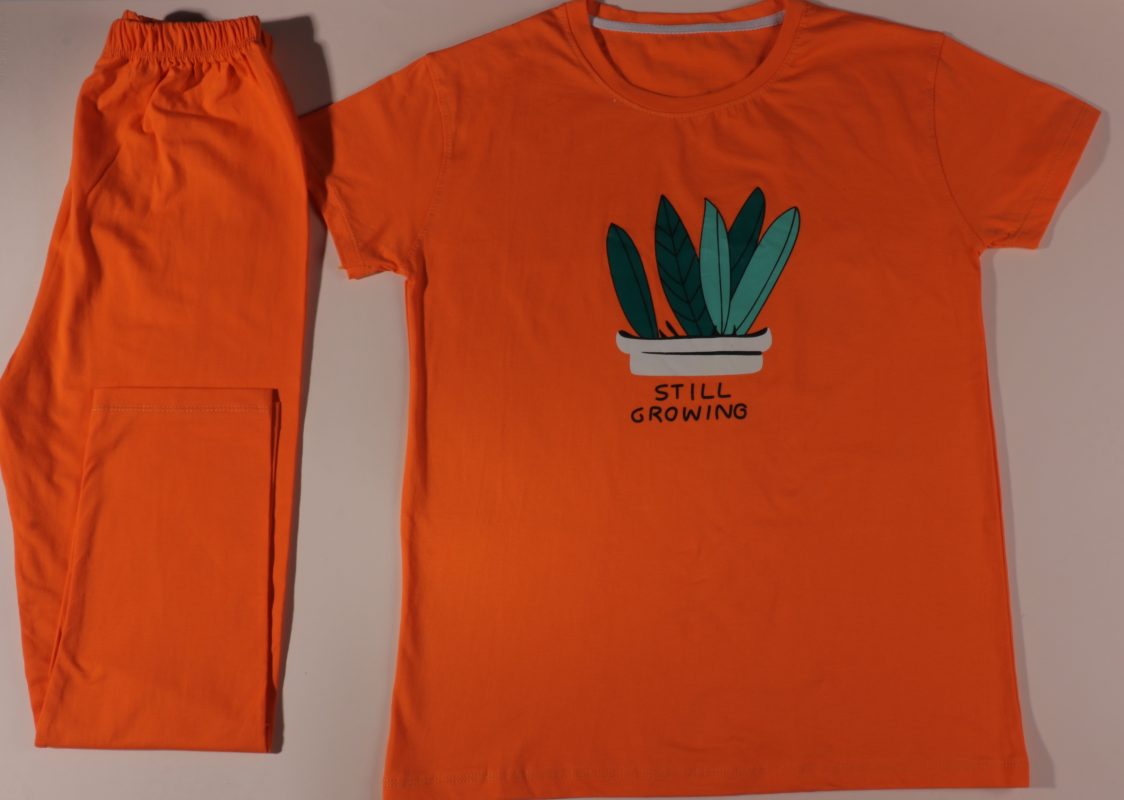 ست راحتی طرح کاکتوس