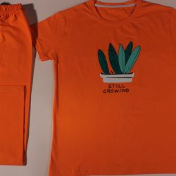 ست راحتی طرح کاکتوس